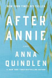 Cover image for After Annie