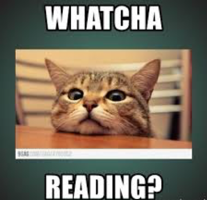 Kitty cat Whatcha Reading meme