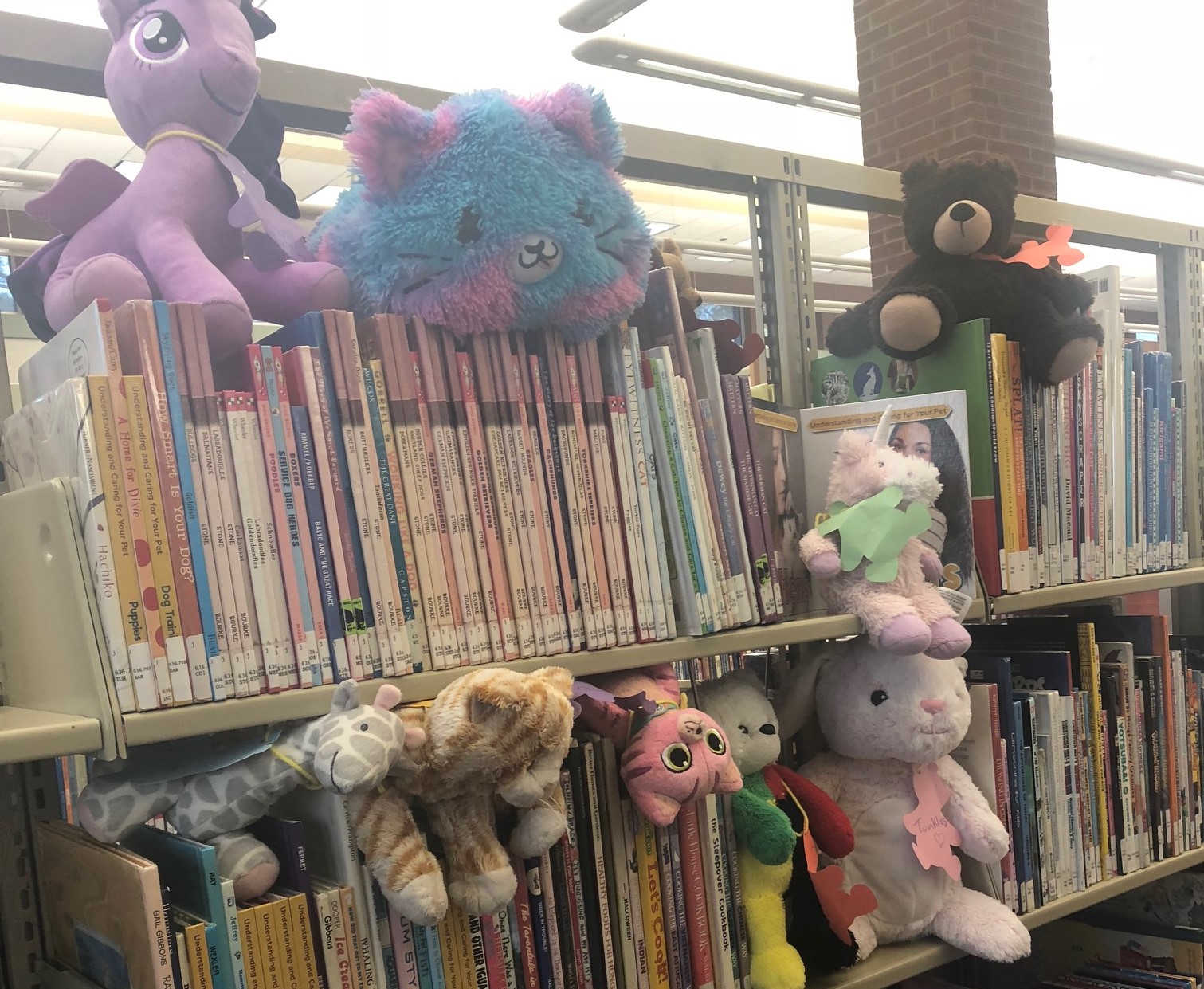 Stuffed animals in juvenile nonfiction book section.