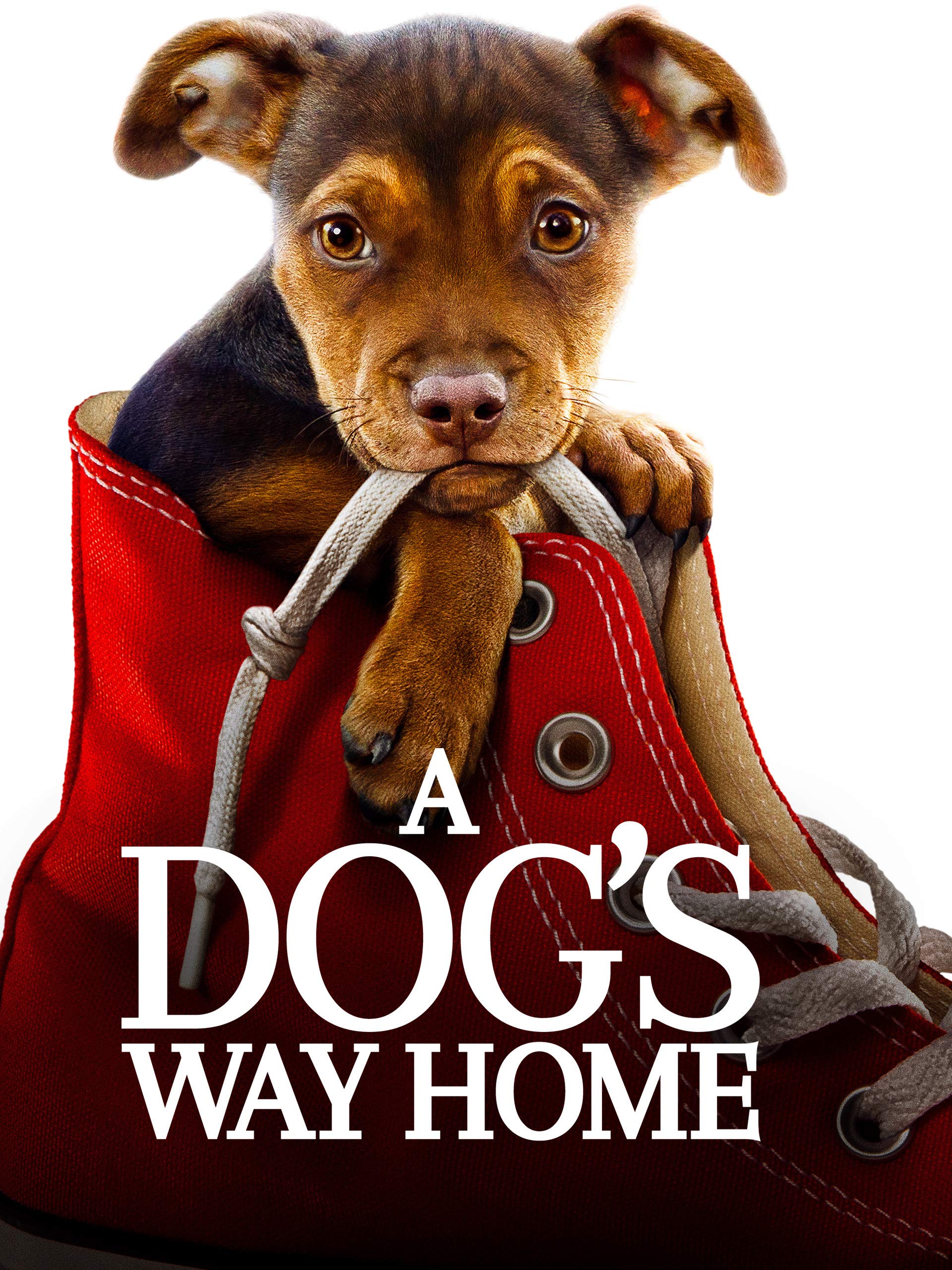 A Dog's Way Home movie poster