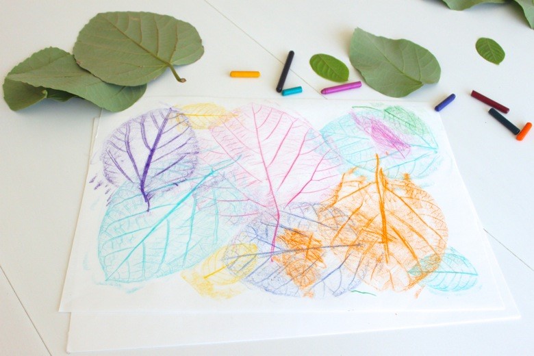 Leaf rubbings