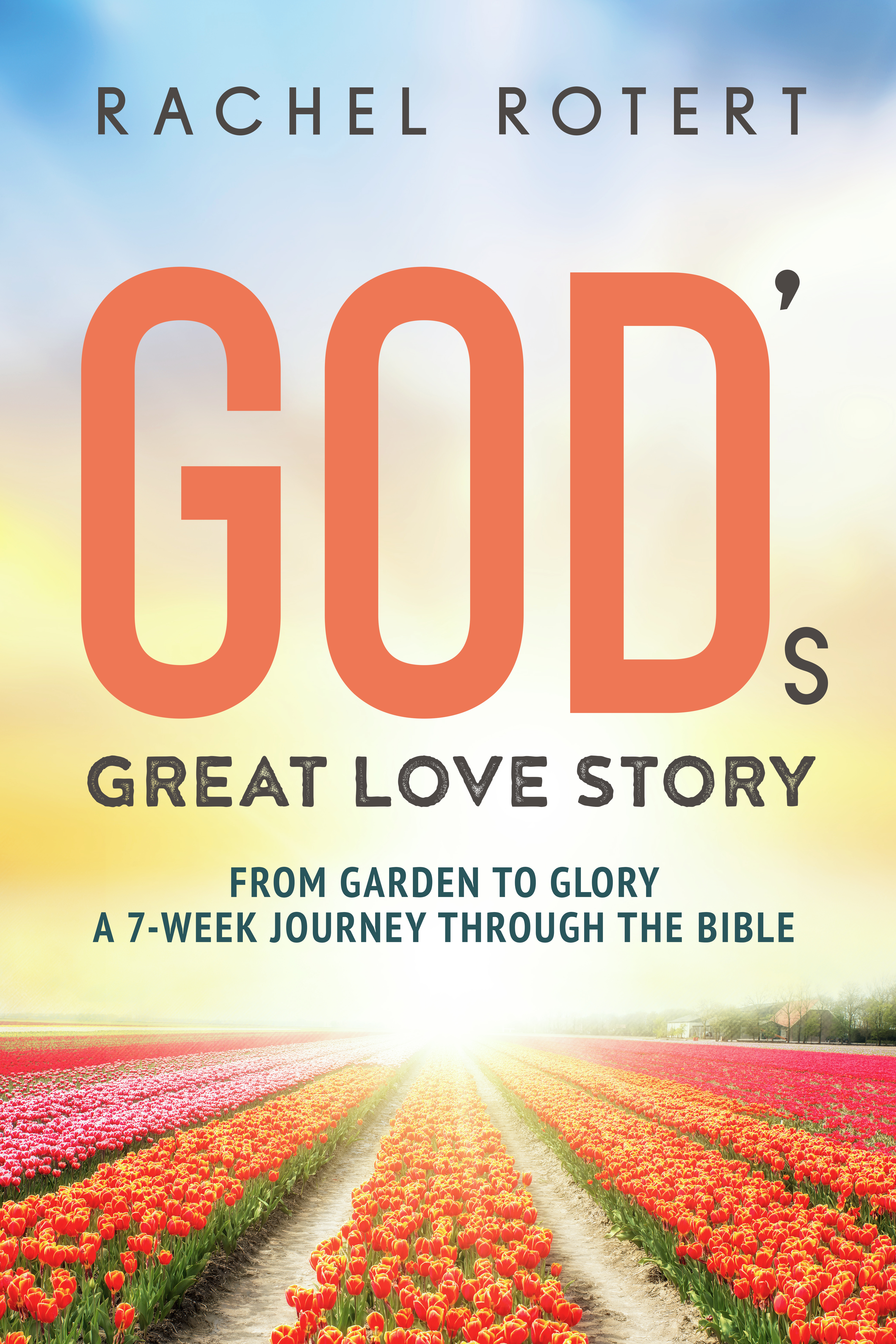 God's Great Love Story book jacket