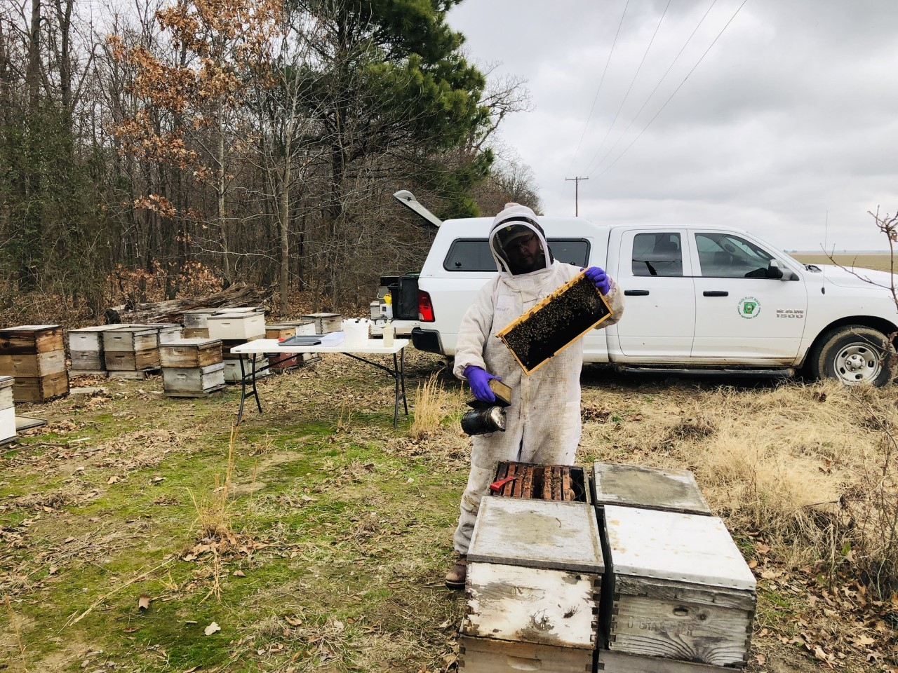 Apiary inspector Danny Brewer holds up a honeycomb