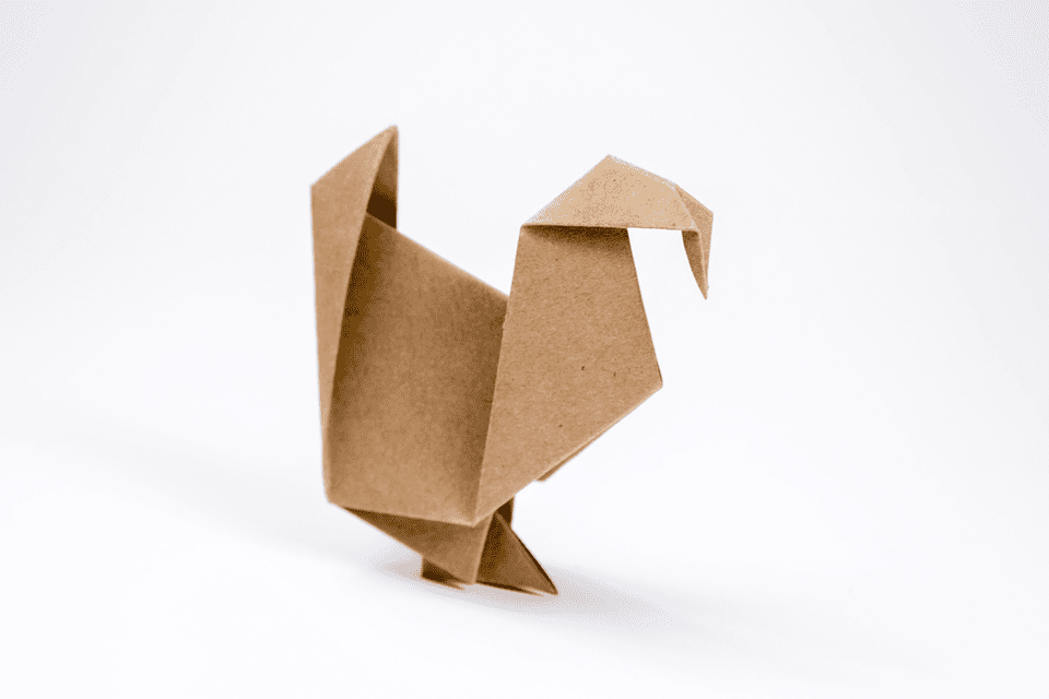 Origami Turkey