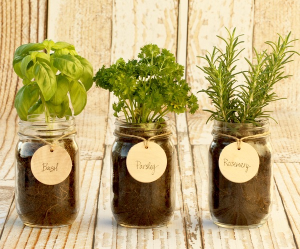 diy herb garden