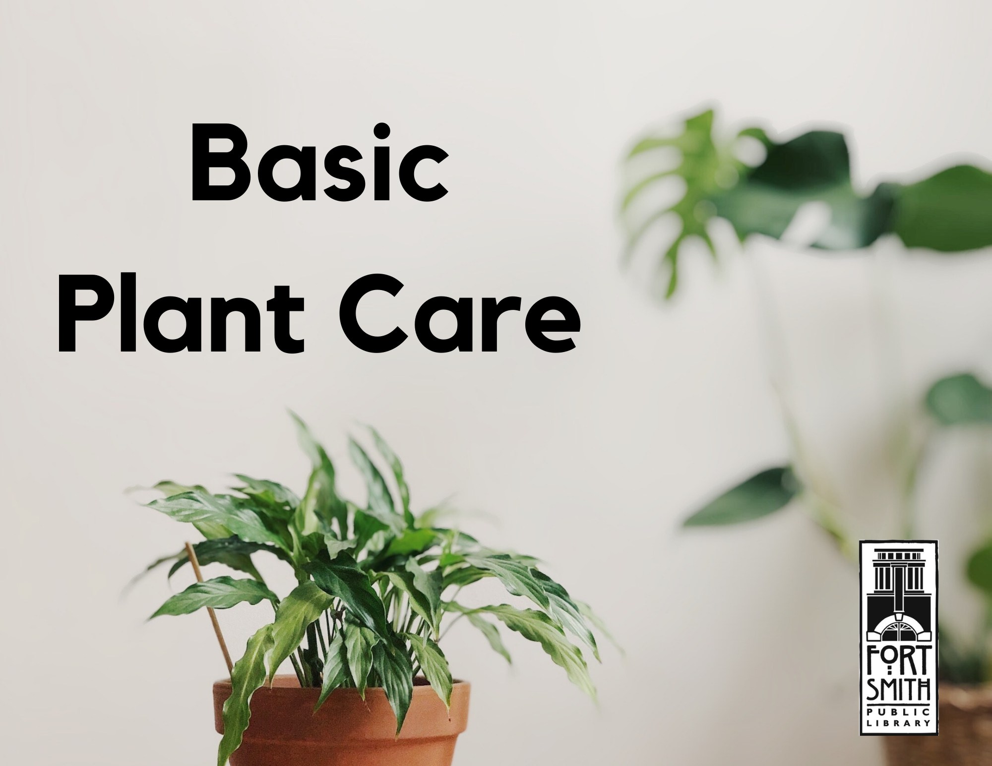 Basic Plant Care in black wording against a beige background. It has a couple of green plants with one in a tan pot and other is coming from off the border. 