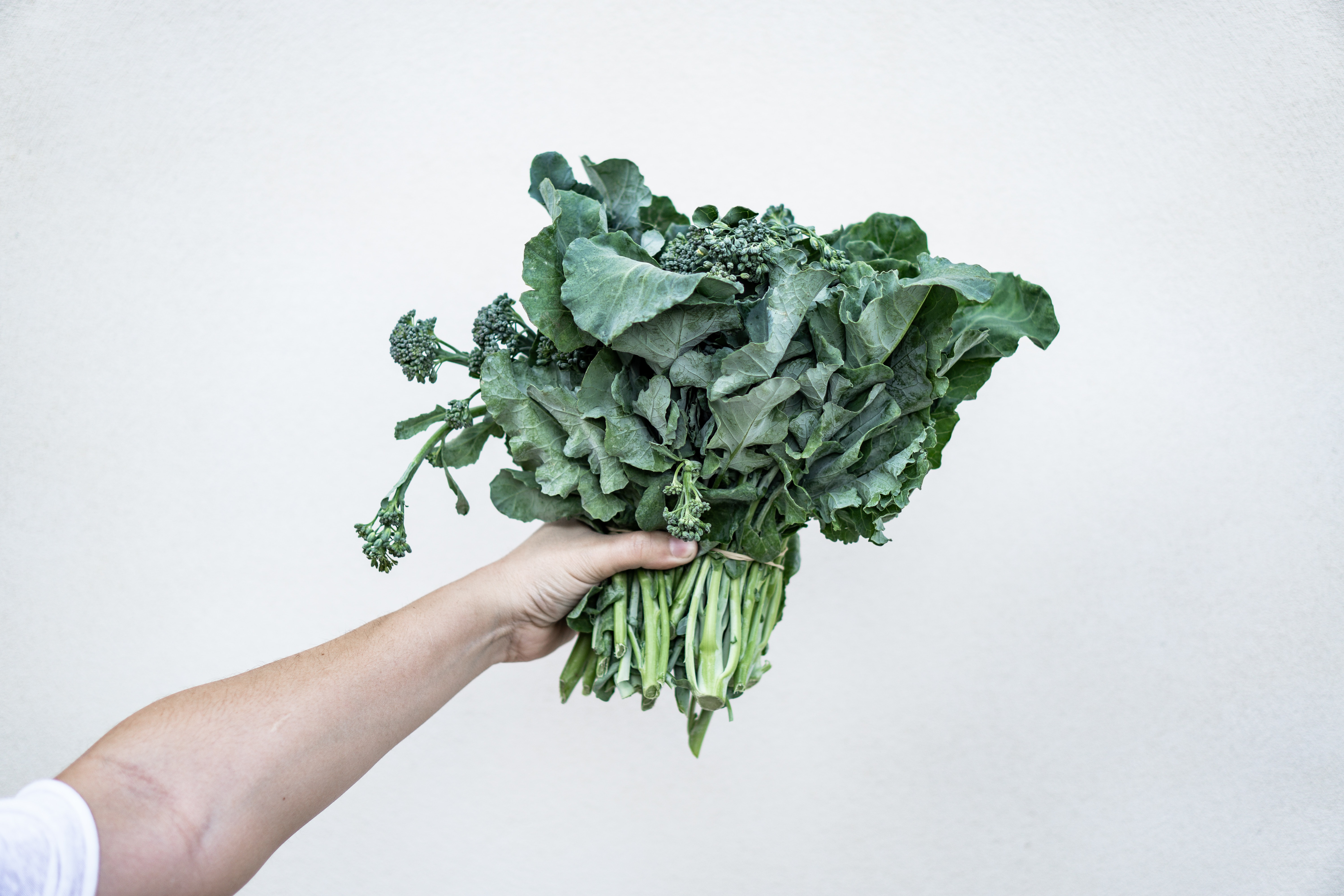 picture of kale