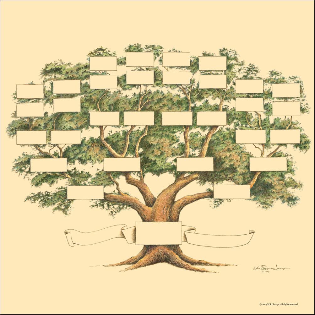 drawing of a tree with empty boxes to put family names in