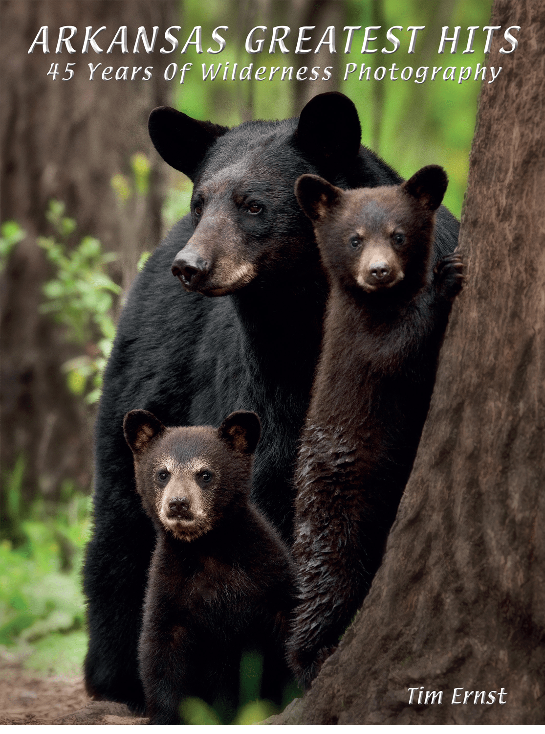 photo of 3 black bears on the cover of Tim Ernst's latest book