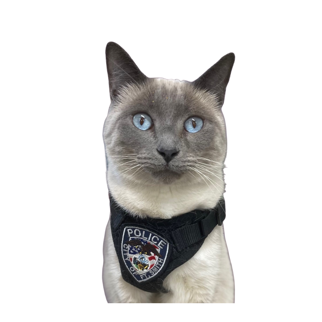 photo of Pawfficer Fuzz