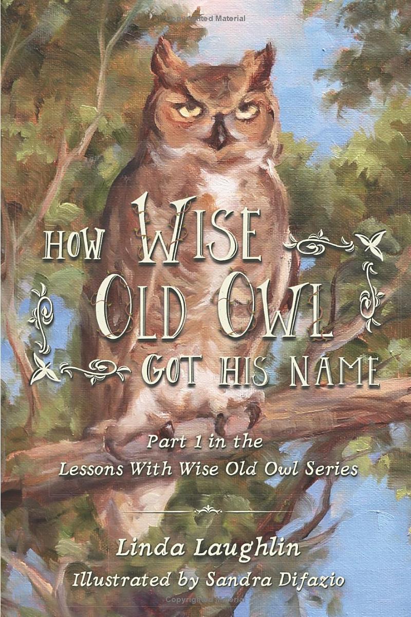 book cover of "Wise Owl" by Linda Laughlin