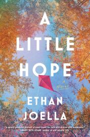 Cover image for A Little Hope