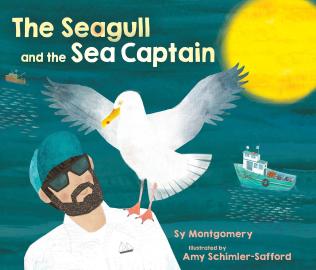 Cover image for The Seagull and the Sea Captain