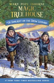 Cover image for Sunlight on the Snow Leopard
