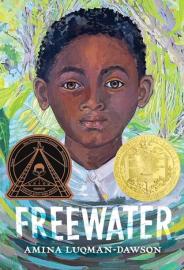 Cover image for Freewater