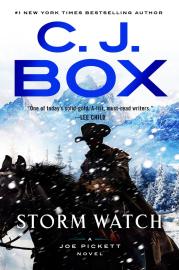 Cover image for Storm Watch