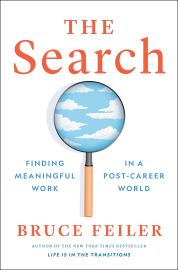 Cover image for The Search