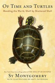 Cover image for Of Time and Turtles