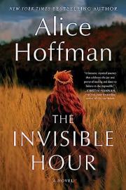 Cover image for The Invisible Hour