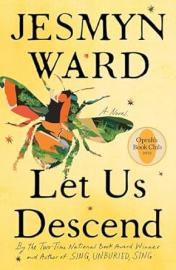 Cover image for Let Us Descend