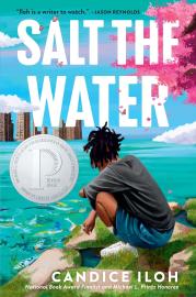 Cover image for Salt the Water