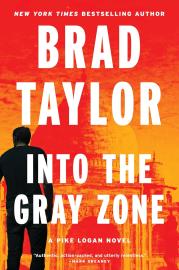 Cover image for Into the Gray Zone