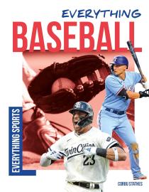 Cover image for Everything Baseball