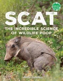 Cover image for Scat