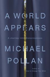 Cover image for A World Appears