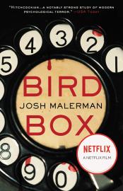 Cover image for Bird Box