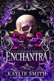 Cover image for Enchantra