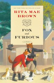 Cover image for Fox and Furious