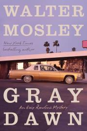 Cover image for Gray Dawn