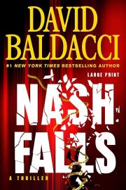Cover image for Nash Falls