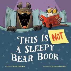 Cover image for This Is Not a Sleepy Bear Book