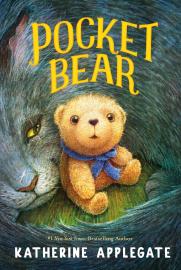 Cover image for Pocket Bear