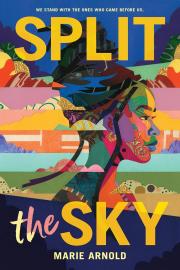 Cover image for Split the Sky