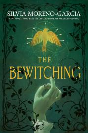 Cover image for The Bewitching