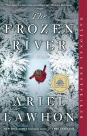 Cover image for The Frozen River: A GMA Book Club Pick