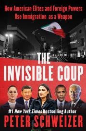 Cover image for The Invisible Coup