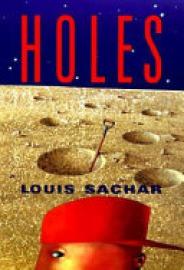 Cover image for Holes