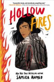 Cover image for Hollow Fires