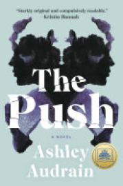 Cover image for The Push