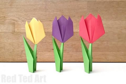 tulip origami