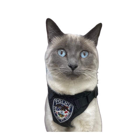 Pawfficer Fuzz 