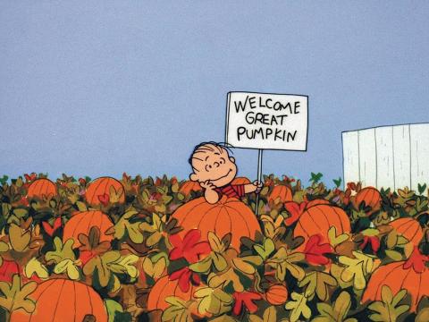 Linus and pumpkins