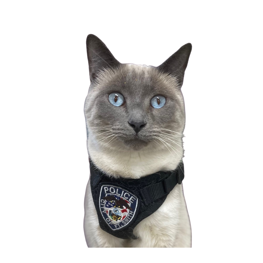 Pawfficer Fuzz 