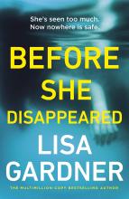 Before She Disappeared book cover