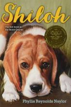 Shiloh Cover